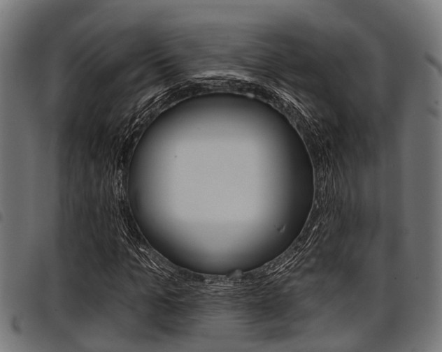 X0000098010965200803280727
