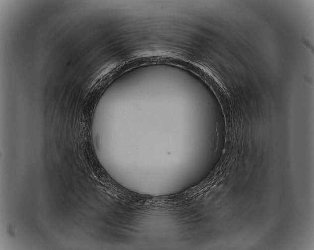X0000098010967200803280727
