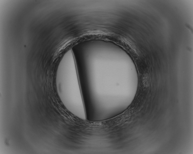X0000098010968200803280727