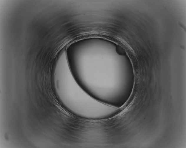 X0000098010969200803280727