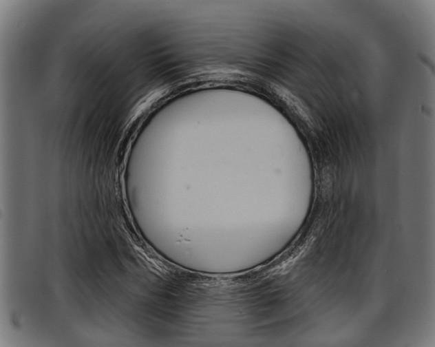 X0000098010970200803280727