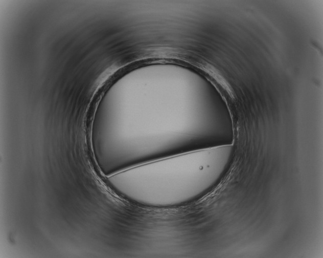 X0000098010972200803280727