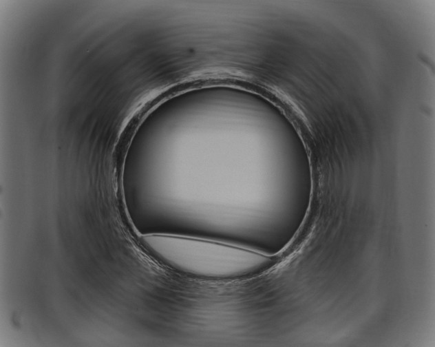 X0000098010973200803280727