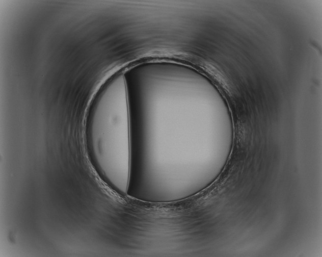 X0000098010976200803280727