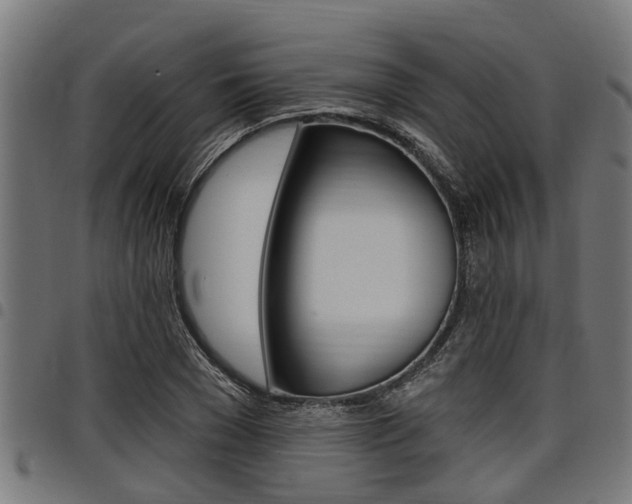 X0000098010977200803280727
