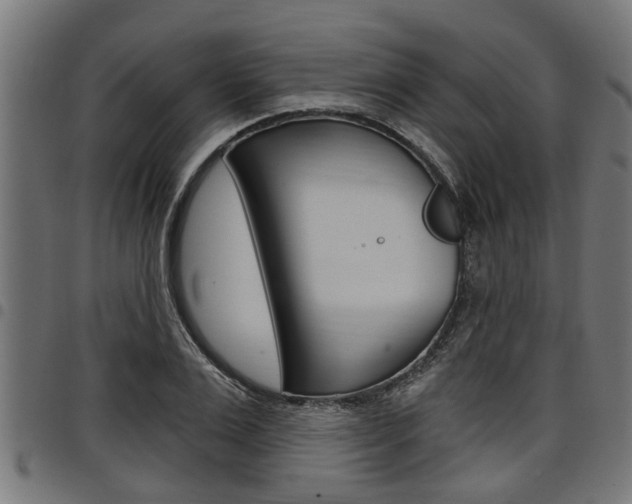 X0000098010983200803280727
