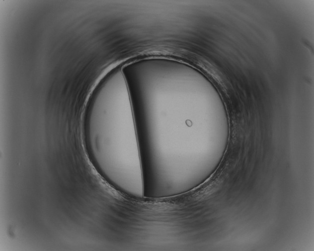 X0000098010984200803280727