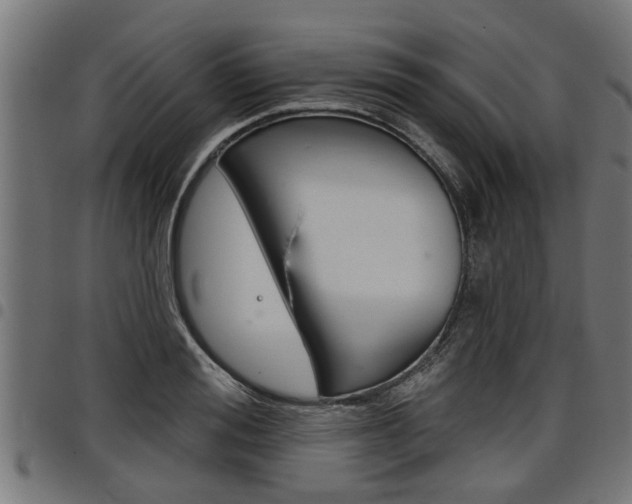X0000098010988200803280727