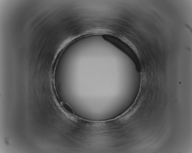 X0000098010989200803280727