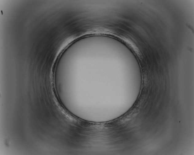 X0000098010990200803280727