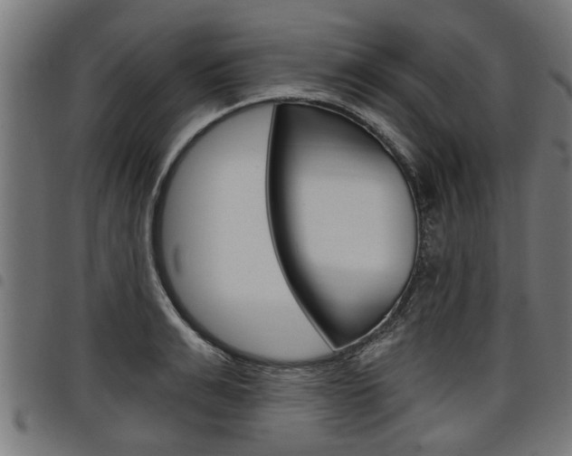 X0000098010991200803280727