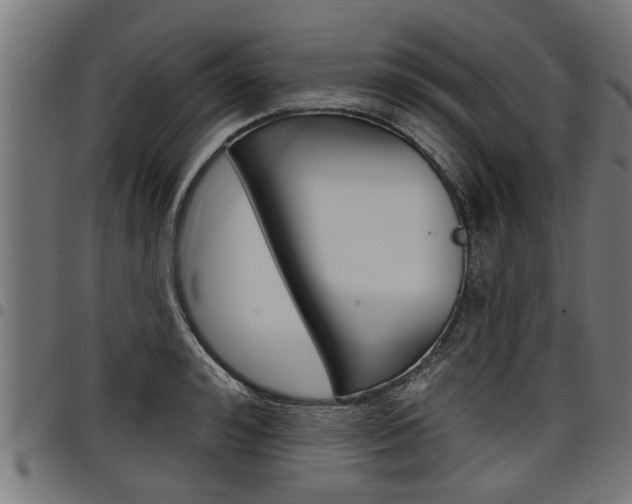 X0000098010992200803280727