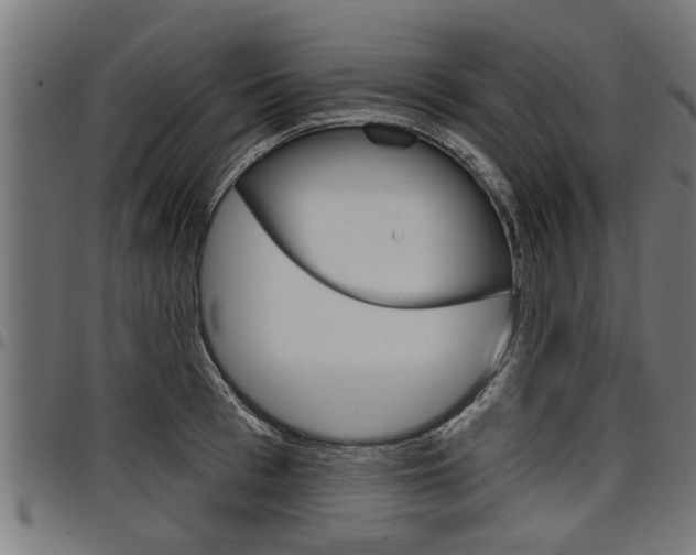 X0000098010993200803280727