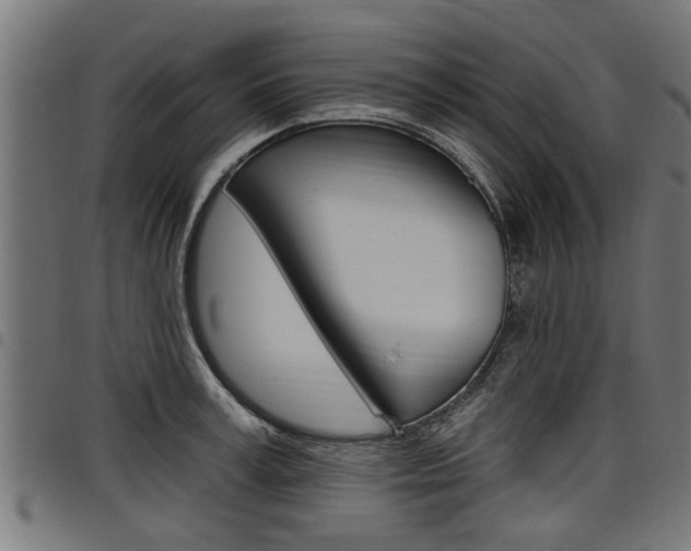 X0000098010995200803280727