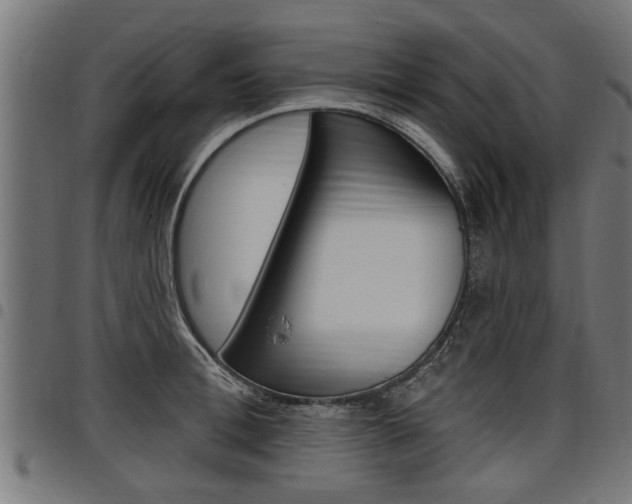 X0000098010996200803280727