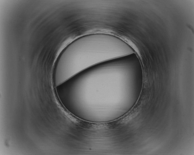X0000098010997200803280727