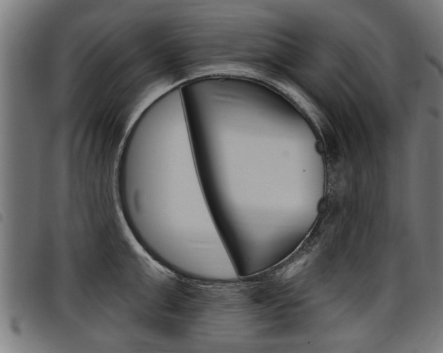 X0000098010999200803280727