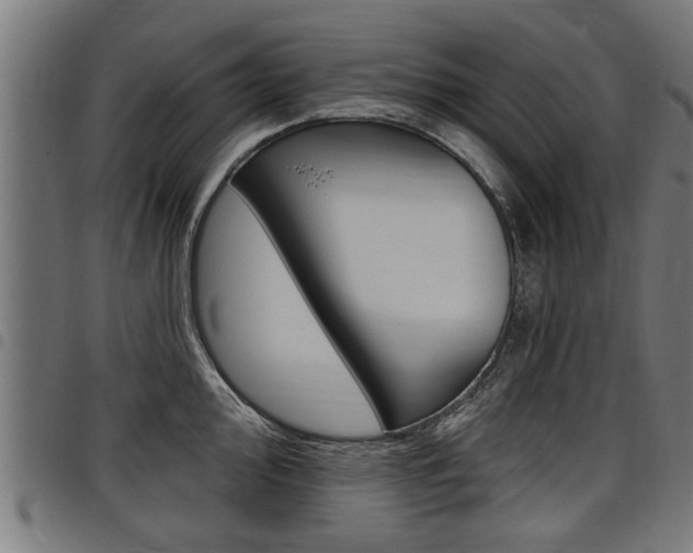 X0000098011000200803280727