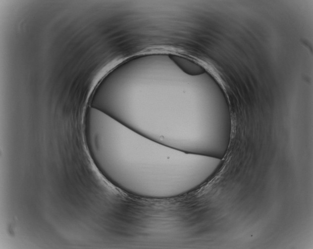X0000098011003200803280726
