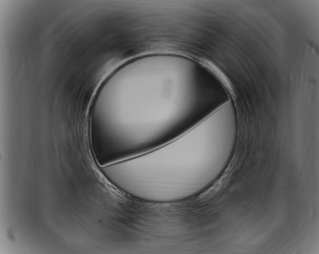 X0000098011004200803280726