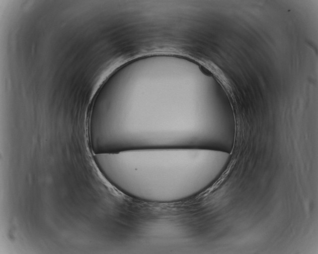 X0000098011006200803280726