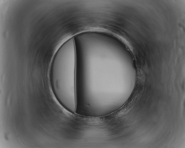 X0000098011007200803280726