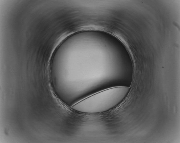 X0000098011008200803280726