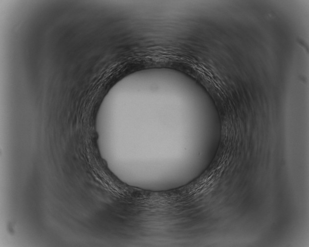X0000098011009200803280726