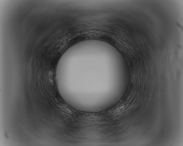 X0000098011010200803280726