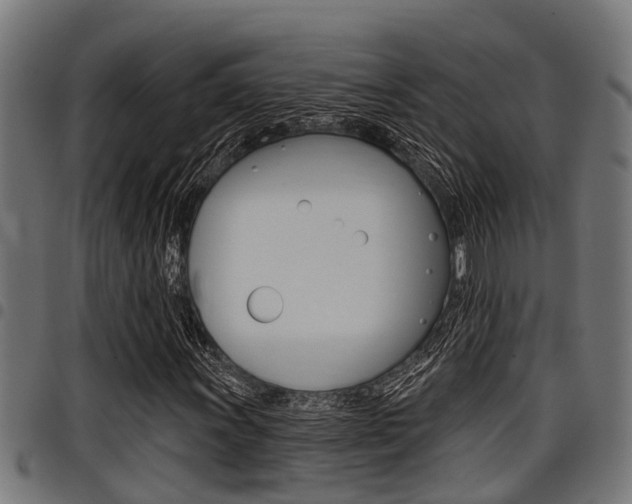 X0000098011011200803280726