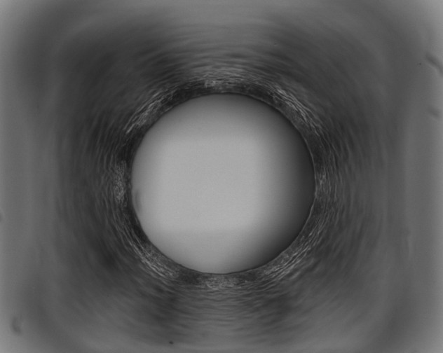 X0000098011012200803280726