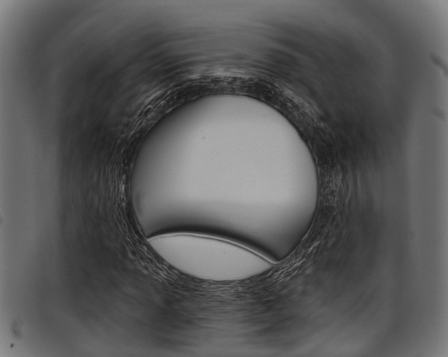 X0000098011013200803280726