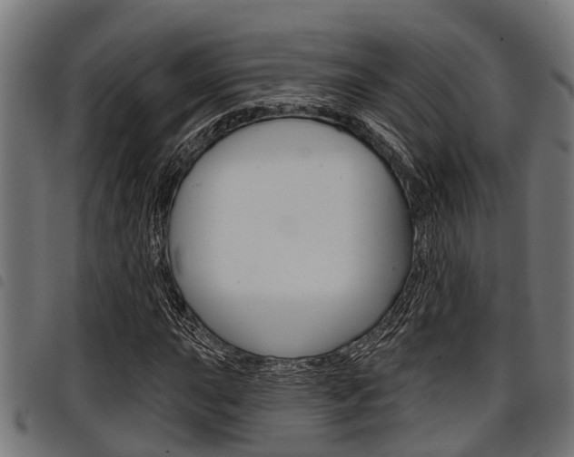 X0000098011015200803280726