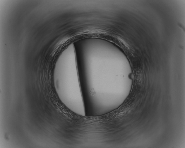 X0000098011016200803280726