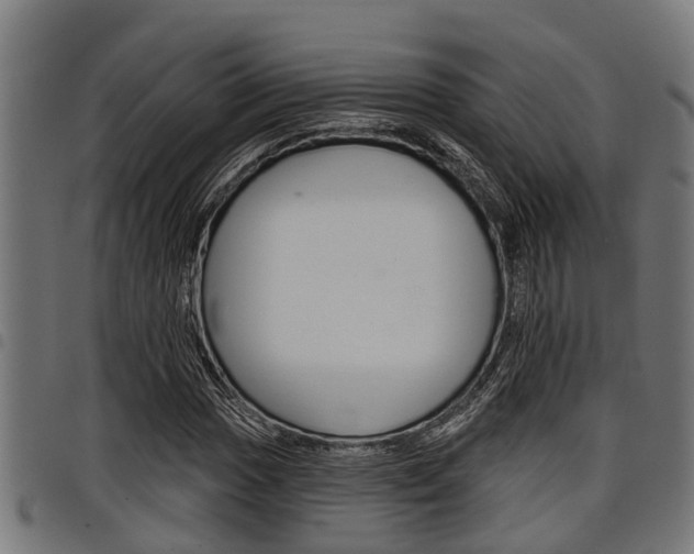 X0000098011017200803280726