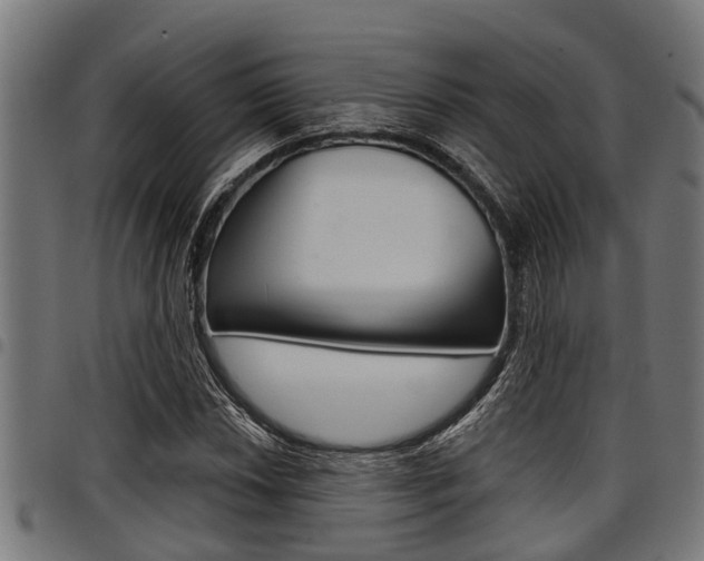 X0000098011018200803280726