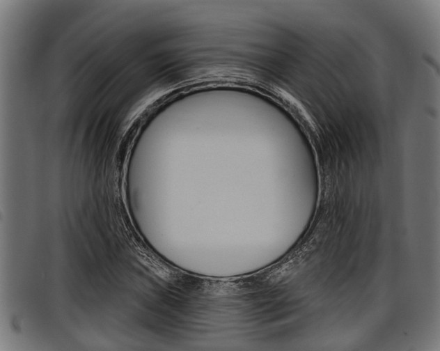 X0000098011019200803280726