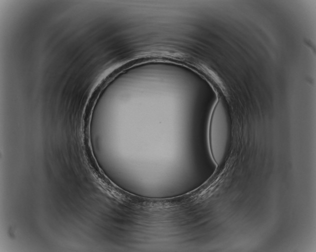 X0000098011020200803280726
