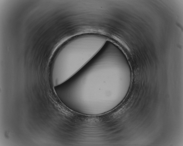 X0000098011021200803280726