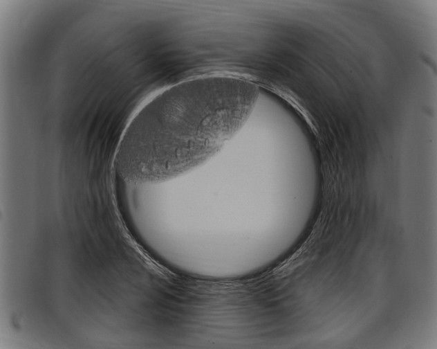 X0000098011024200803280726