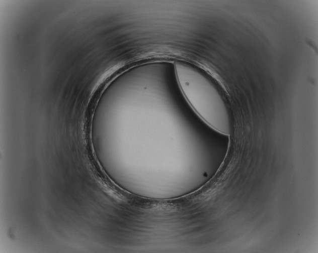 X0000098011026200803280726