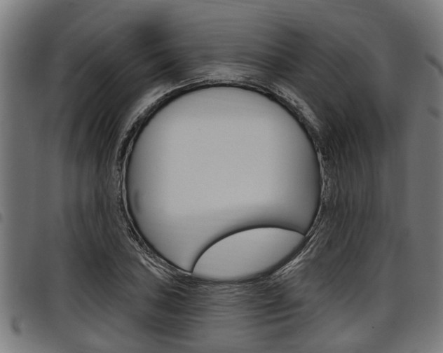 X0000098011027200803280726