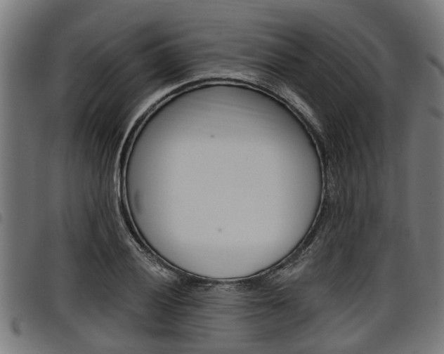X0000098011028200803280726