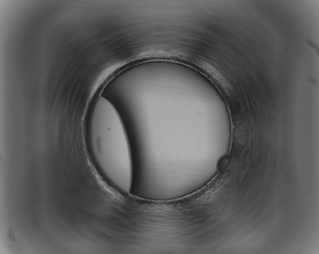 X0000098011030200803280726