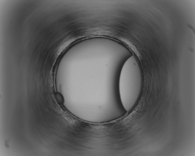 X0000098011031200803280726