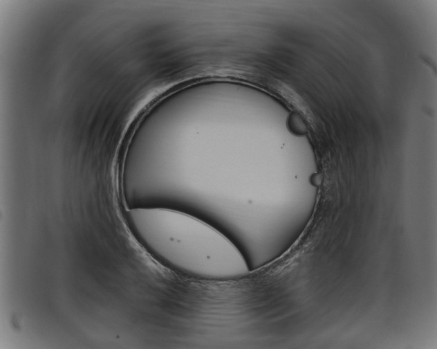 X0000098011032200803280726