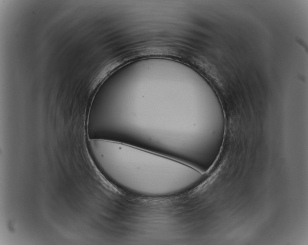 X0000098011033200803280726