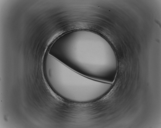 X0000098011034200803280726