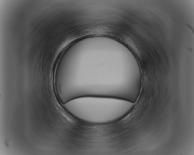 X0000098011035200803280726