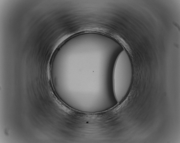 X0000098011036200803280726
